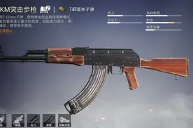 步枪巅峰之争：AKM VS M762深度对比评测图片