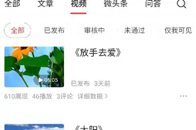 “引用视频”的方法步骤图片