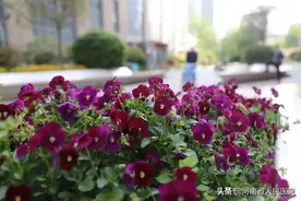 她为了要孩子，经历11次试管婴儿，隐匿“真凶”终于找到图片