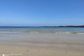 韩国济州岛和日本东京图片
