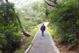 佛山男子来珠海第二天就被竹叶青咬，近万元医药费领导全付！图片