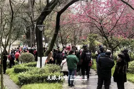 贵阳河滨公园相亲角，父母替儿女找缘分，房车不是硬指标图片