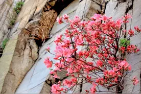 女人为什么爱生气？图片