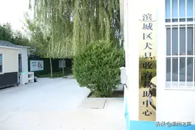 犬只收容救助 让滨州更有爱 180只狗狗在收容救助中心的幸福生活图片