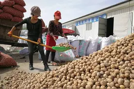 市场空间很大，产地却堆积卖不动，价格已经探底，到底咋了？图片