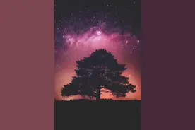 汉字故事：不落窠臼，不是巢穴的“巢”图片