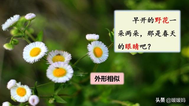 二年级下册语文课文2《找春天》图文详解及同步练习