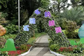 桂林：百名摄影家聚焦中国科学院植物园第十届名园名花展图片