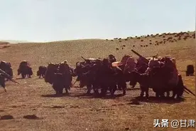 道班记忆：一只羊角把烟斗图片