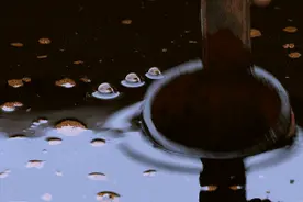 国产酱油的复兴！坚持古法酿制零添加，网友：还是小时候的味道图片