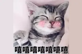 DNF宠物之最，快来Pick出你的挚爱图片