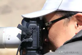 欣赏鸟儿展翅飞翔和低空滞留盘璇身姿的壮观场面，实在是人间绝景图片