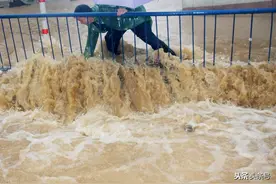 每亩50元？错！河南灾后补偿新标准，农作物4804元，一头牛超万元图片