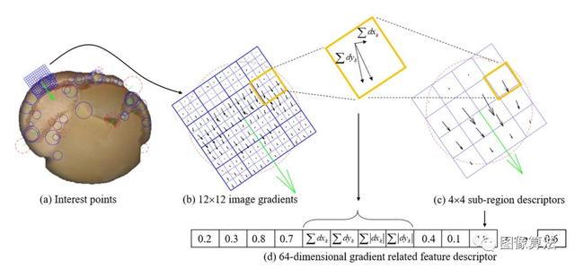 基于机器视觉技术快速准确地确定收获后干大豆种子的品质