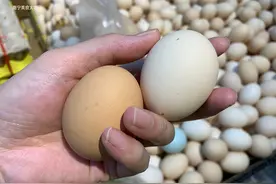 如何避免买到“人造蛋”？只需掌握这5个窍门，包你买不到假鸡蛋图片