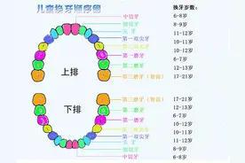 最完整的儿童换牙顺序图及注意事项，家长必看图片