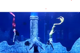 潍坊寿光极地海洋世界惊现美人鱼图片