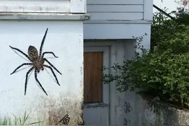 艺术家在无聊的街头随便画了几笔，瞬间这条街就变得生动了起来图片