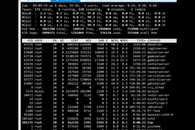 CentOS7.2的top命令CPU不匹配？图片