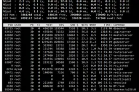 CentOS7.2的top命令CPU不匹配？图片
