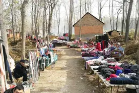 攒了4年辫子卖430块，收头发小贩年赚30万，他们收的头发有啥用？视频封面