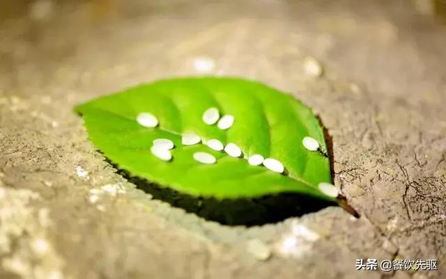 中国顶级大米排行榜！快看看有没有你家乡的