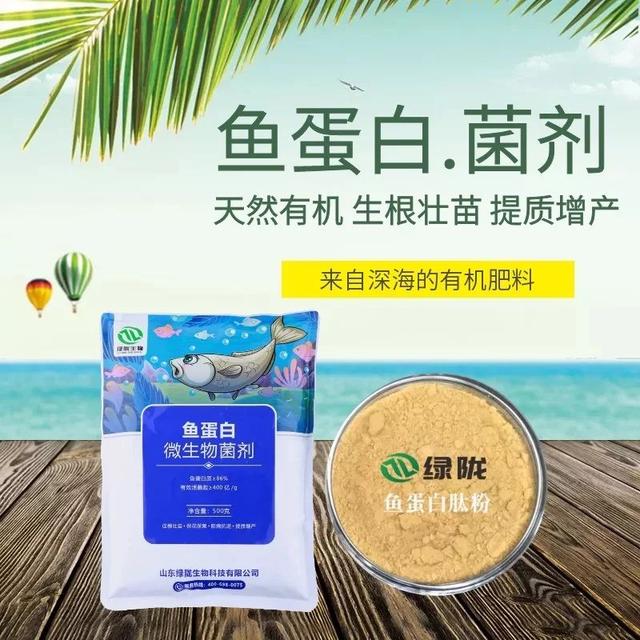 鱼蛋白神乎其神，到底是个什么鬼？与其他肥料的区别是什么？