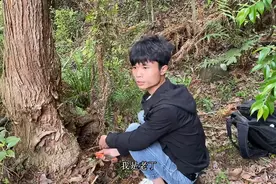 狗熊掏的蜂蜜怎么来的，老丁给你造一个诱蜂树洞图片
