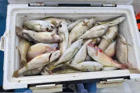 假期塞车不塞船，深海钓鱼狂抽大货，多亏了这手准备图片