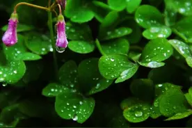 散文：光阴似水，流年已陌图片