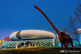 事业单位临聘人员能否享受社保待遇？女英语老师起诉后高院这样判图片