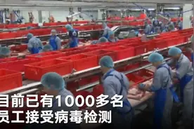 德国一家肉类加工厂暴发聚集性感染：超650人呈阳性 隔离约7000名员工图片