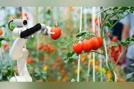 人工智能机器人怎样干农活的？图片
