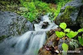 吉林红石国家森林公园欢迎您！图片