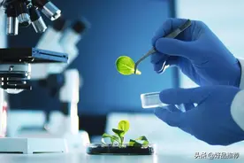 教育部统计数据：这8个专业的学生已经严重饱和，报考可要谨慎图片