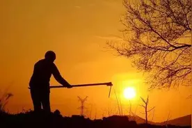 叔叔留下的温暖记忆图片