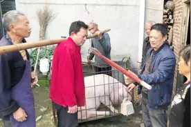 四川泸州：农村妈妈卖了一头280斤毛猪，这个单价可以吗