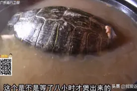 土茯苓煲龟甲汤的做法，炖足8个小时，排毒祛湿很有功效视频封面