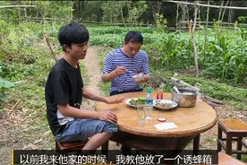 两个都是好位置，为什么一个诱蜂箱来蜂了，另一个没来呢？图片