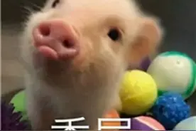 手术前，为啥要刮掉私处毛毛？手术时割掉的“肉”哪去了？扒一扒手术室的小秘密图片
