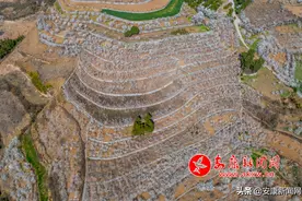 游人如织！安康这里的樱桃花开了图片