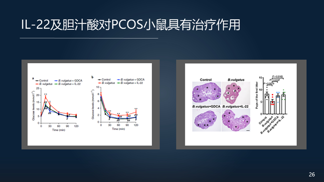 庞艳莉：22分钟详解肠道菌群与代谢疾病