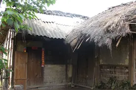 八月怒号的秋风，卷走杜甫草堂上的茅草，也吹破我茅屋上的草图片