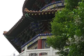 长春随拍——劳动公园夏景图片