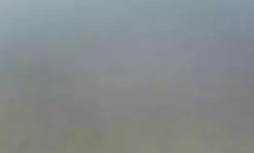 早春肥水提上日程，秘笈在这里！