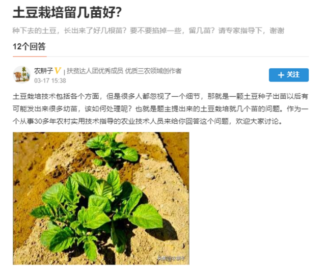 课代表干货笔记|为什么我的作业总得不了满分？评分标准大公开！