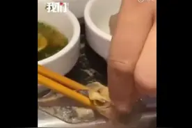 海底捞就塑料乌鸡卷道歉：工厂灌装环节操作不规范 门店失察图片