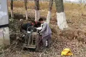 肥猪满路跑！沈阳一拉猪货车与渣土车相撞侧翻，40余头猪“越狱”图片