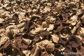 储存新会陈皮的误区和正确处理方法图片