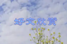 山东一等奖作文《祖国如诗》，有着不凡的文化积累和文学功底图片